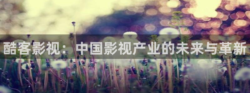 橘子視頻新版本