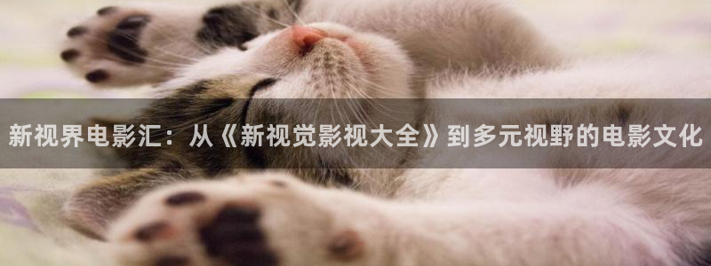 橘子視頻下載app：新視界電影匯：從《新視覺影視大全》到多元視野的電影文化