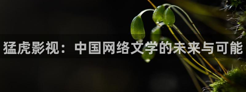 橘子影視電視版下載：猛虎影視：中國網絡文學的未來與可能
